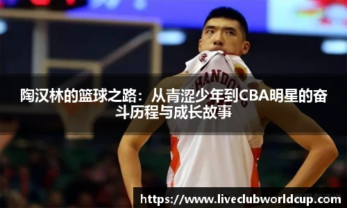 陶汉林的篮球之路：从青涩少年到CBA明星的奋斗历程与成长故事